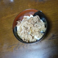 牛丼