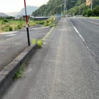 国道・県道の除草、土の除去