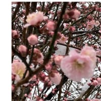 今日いち-2025年4月6日