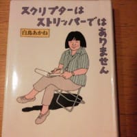 トマス・アクィナスの「神学大全」訳書全45巻 - 緑のカーテンと トマス・アクィナスの「神学大全」訳書全45巻 - 緑のカーテンと