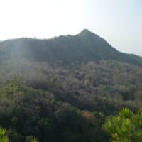 竜ヶ岳登山