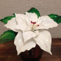 新作☆ポインセチア白