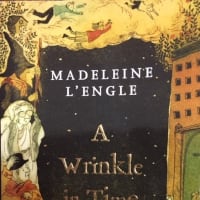牛乳のskinとは？　単語の意味、カギは文の流れです⑳ Part 1 ～A Wrinkle in Time by Madeleine L'engleより～