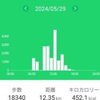 円山に登りました（27回目）