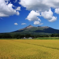 記事のタイトルを入力してください（必須）