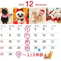 12月も暦通りですが、12/31～1/3は休診です。電子診察券について再度のお願い。