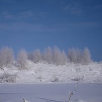 上富良野に通う