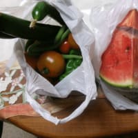 嬉しい頂き物＆きれいにして頂けました～！