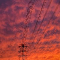 台風、いったい何処へ