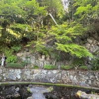 西国第二十番札所　善峯寺（よしみねてら）