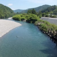 本日の海部川
