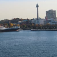  115回ピースボート世界一周航海記その51（神戸港・横浜港）