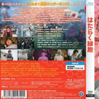 「はたらく細胞」（令和07年06月01日）。