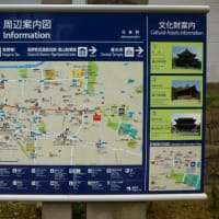 1394b41977f0663c6a9f12b2b9011b