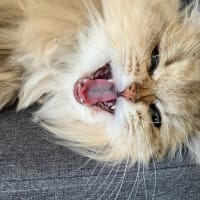 これは⁉︎