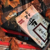 仙台CATS