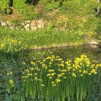 第2629話　気づいていないだけで