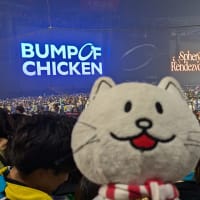 ドームDAY2のみに現れる奴（→わたしです！）