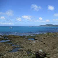 クルマによる大気汚染への介入