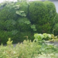 天候不良の合間に