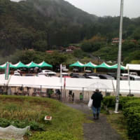 唐川新茶まつり開催。
