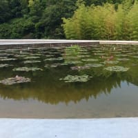 第４回 淡路島 安藤建築、他