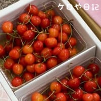 さくらんぼ