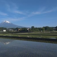 今朝の富士山（20240518）