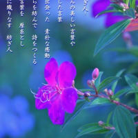 photo  poem    －　紡ぎ人　－