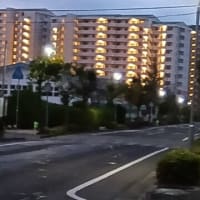 日の出前は寒い