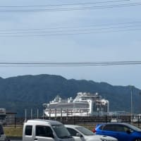 明日は宮古市魚市場休市です