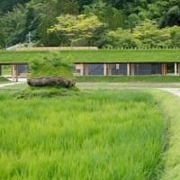 7/6(日)経過入院3日目〜5/24(土)近江八幡『ラ・コリーナ』のお話〜🎵命くれない（瀬川瑛子）