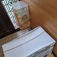 アゲハの終齢幼虫は蛹になる準備中