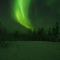 『1月8日から15日、カナダ、イエローナイフにオーロラ観賞の旅』
