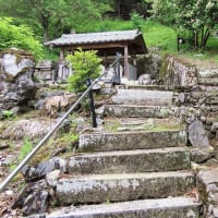 丹波七福神巡り２（耕雲寺　金光寺　蔵宝寺）　２ニャン