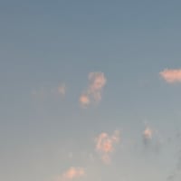 わたしを思い出す場所