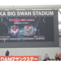 【Ｊ１】新潟vs.横浜「気分不快ニシテ」＠デンカビッグスワン