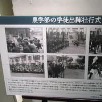 九州大学の学徒動員の歴史展示