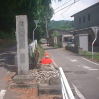 毎日同じような天気が続いています。