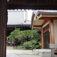 絵手紙展と奈良歩き
