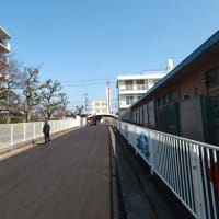 枚岡教会では礼拝をしています。どなたもどうぞ。