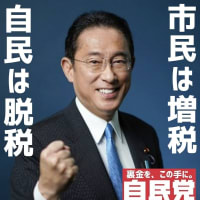 論点のすり替え