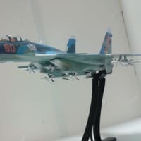 ズベズダ 1/72 Su-33 フランカーD