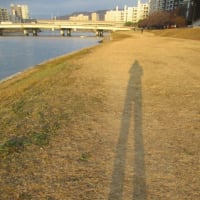 広島市の中心部を流れる元安川の夕暮れ・・・テクテク散歩　オミクロンが去り、春が来るのが待ち遠しいです
