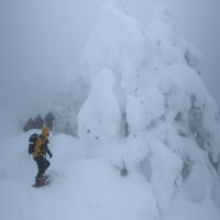 氷ノ山のモンスターに会いに