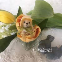コンベンションからただいま♪おうちでおうち探し2025sprinng終了しました。