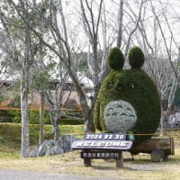 妖精の世界の