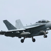 キター！2年ぶりのCVW-5艦載機２　Chippyは4機も。