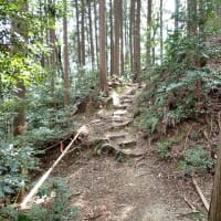 丸子城 駿河 その２ 　東海道を扼する規模が大きく城郭遺構がてんこ盛りの山城