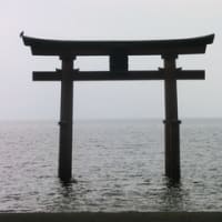 敦賀と奥琵琶湖の歴史を巡る